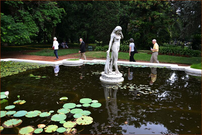 Arboretum pond